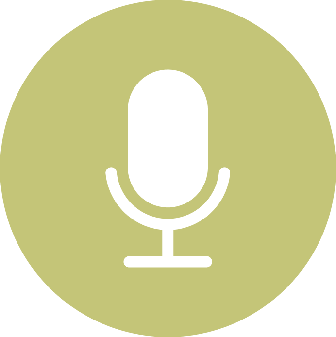 audio icon.